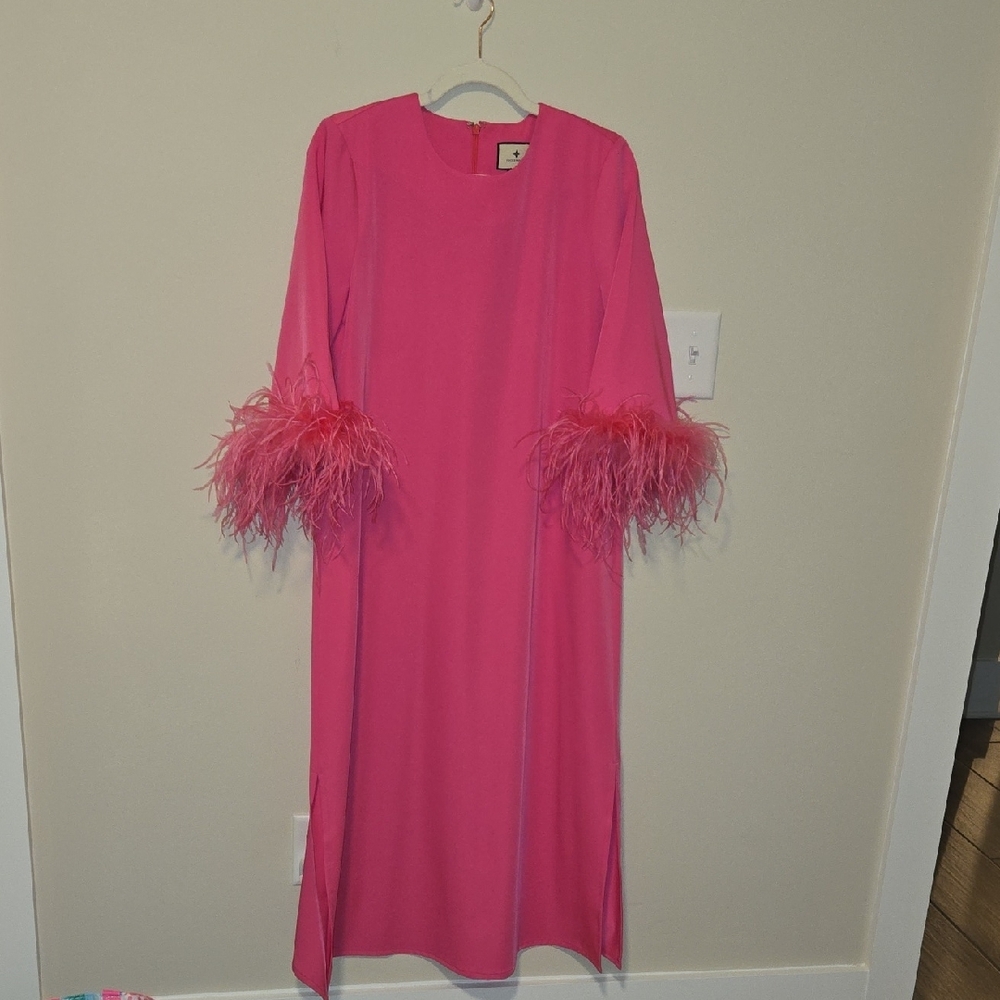 Elegant Pink Feather-Trimmed Dress - Picture 5 of 6